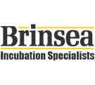 Brinsea