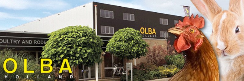 Olba Olba