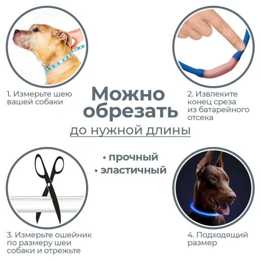 Ошейник светящийся светодиодный для собак с USB зарядкой 50 см синий
