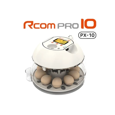 Инкубатор Rcom 10 PRO