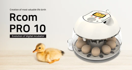 Инкубатор Rcom 10 PRO