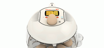 Инкубатор Rcom 10 PRO