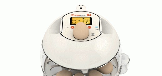 Инкубатор Rcom 10 PRO