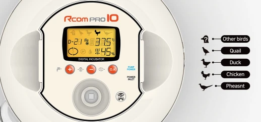 Инкубатор Rcom 10 PRO