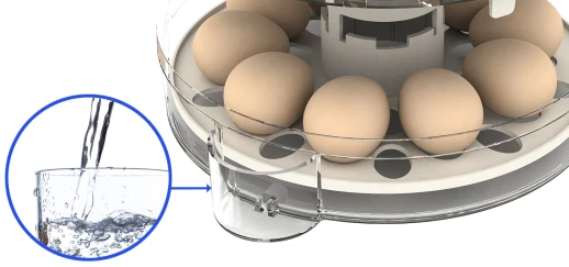 Инкубатор Rcom 10 PRO