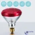 Лампа инфракрасная JK Lighting 100 Вт E27 PAR38 прессованное стекло красная