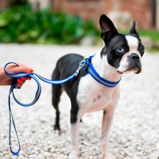 Поводок Ferplast CLUB REFLEX 20/120 черный со светоотражающей полоской