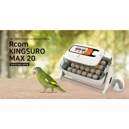Инкубатор Rcom King SURO 20 MAX v.2021