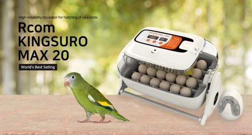 Инкубатор Rcom King SURO 20 MAX