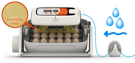 Инкубатор Rcom King SURO 20 MAX