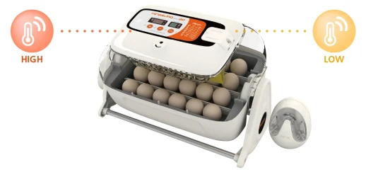 Инкубатор Rcom King SURO 20 MAX