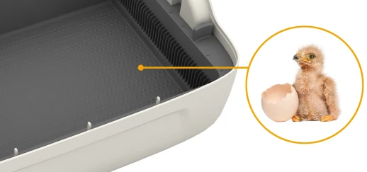 Инкубатор Rcom King SURO 20 MAX