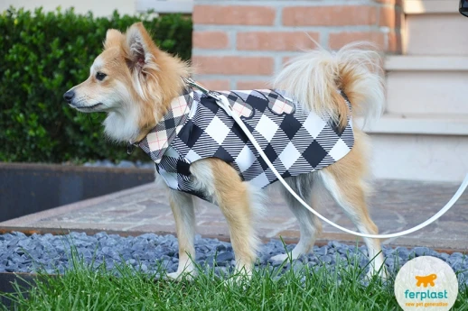 Попона Ferplast GRACE 31 серая клетка