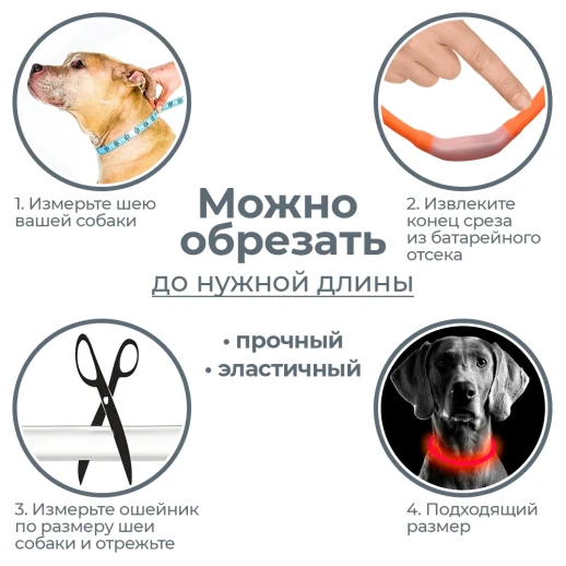 Ошейник светящийся светодиодный для собак с USB зарядкой 50 см оранжевый