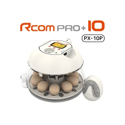 Инкубатор Rcom 10 PRO-Plus
