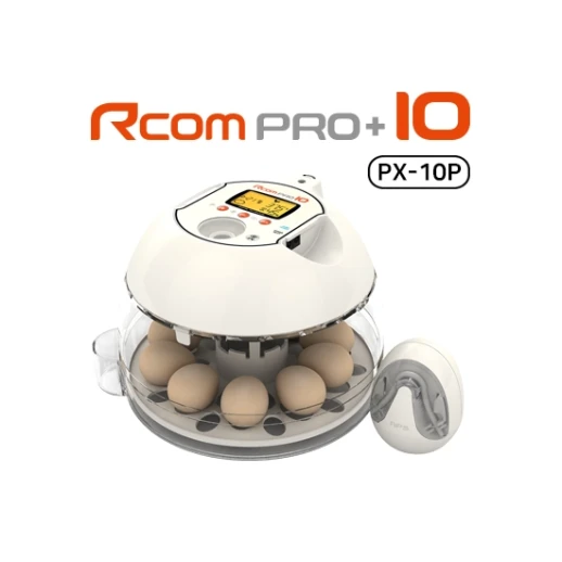 Инкубатор Rcom 10 PRO-Plus