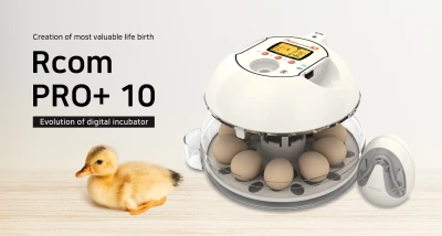 Инкубатор Rcom 10 PRO-Plus