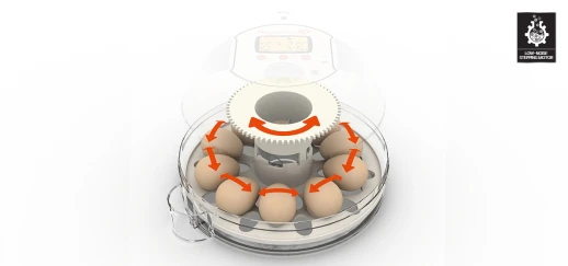Инкубатор Rcom 10 PRO-Plus