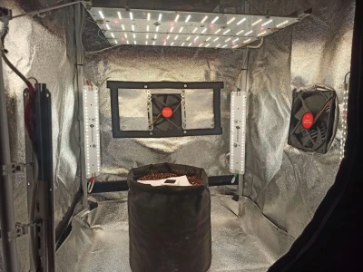 Модуль 4.5 Booster line 3000K + 660nm + UV385nm