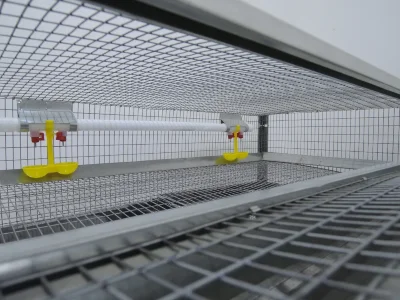 Клетка для 150 перепелов Гранд Престиж