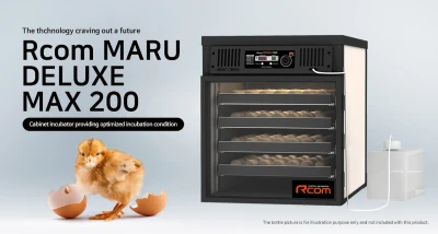 Инкубатор Rcom MARU 200 Deluxe MAX