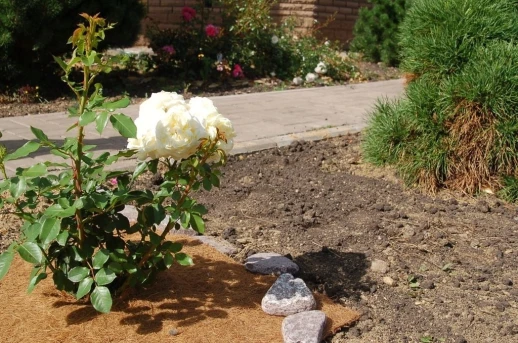 Кокосовый круг приствольный Мульчаграм 40 см 5 шт