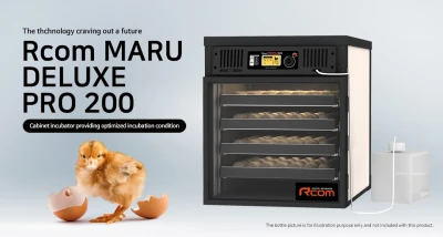 Инкубатор Rcom MARU 200 Deluxe PRO