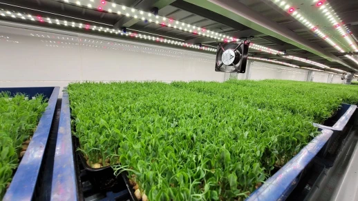 Модуль 2.9.d Фулл комфорт - Универсальное решение.Белый свет.