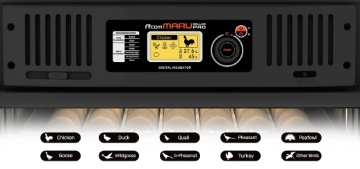 Инкубатор Rcom MARU 100 Deluxe PRO
