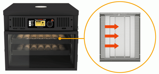 Инкубатор Rcom MARU 100 Deluxe PRO