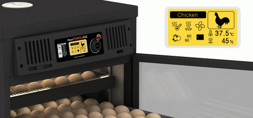 Инкубатор Rcom MARU 100 Deluxe PRO