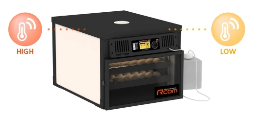 Инкубатор Rcom MARU 100 Deluxe PRO