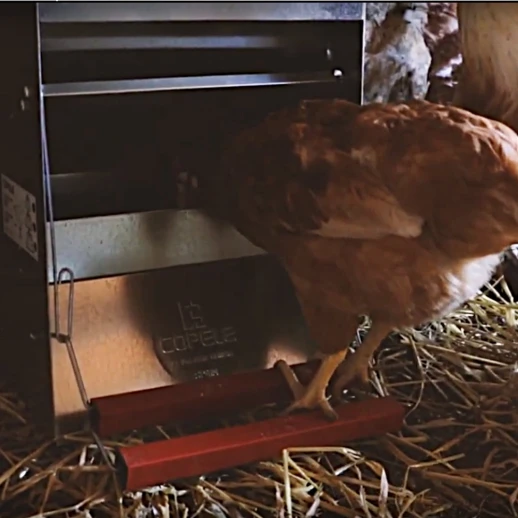 Кормушка педальная Copele Safeed 6 кг.