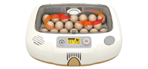 Инкубатор Rcom 20 PRO DO с овоскопом