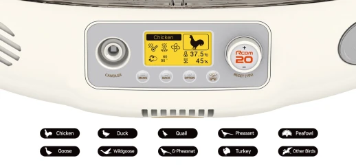 Инкубатор Rcom 20 PRO DO с овоскопом