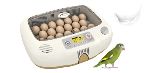 Инкубатор Rcom 20 PRO DO с овоскопом