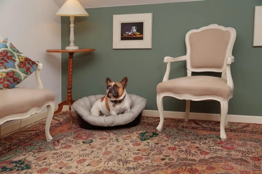 Запасная подушка для лежака Ferplast SOFA 6 вариант 1 Серый