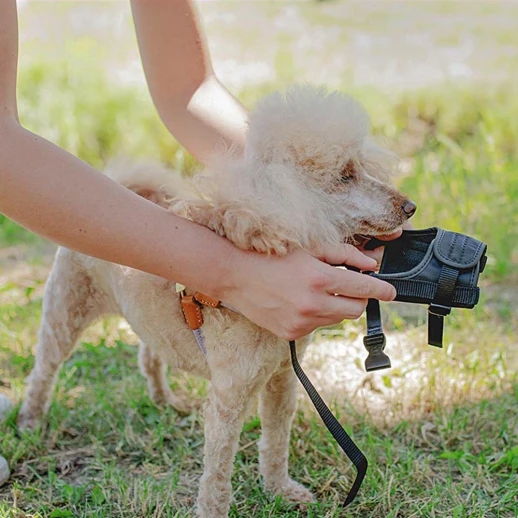 Мягкий намордник Ferplast SAFE Small англ. кокер-спаниель цверкшнауцер