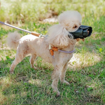 Мягкий намордник Ferplast SAFE Small англ. кокер-спаниель цверкшнауцер