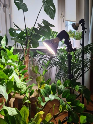 Комплект "Досветка отдельно стоящего растения"