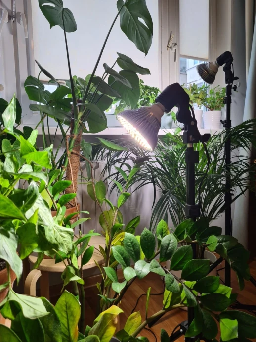 Комплект "Досветка отдельно стоящего растения"