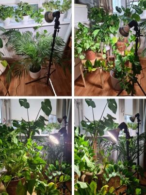 Комплект "Досветка отдельно стоящего растения"