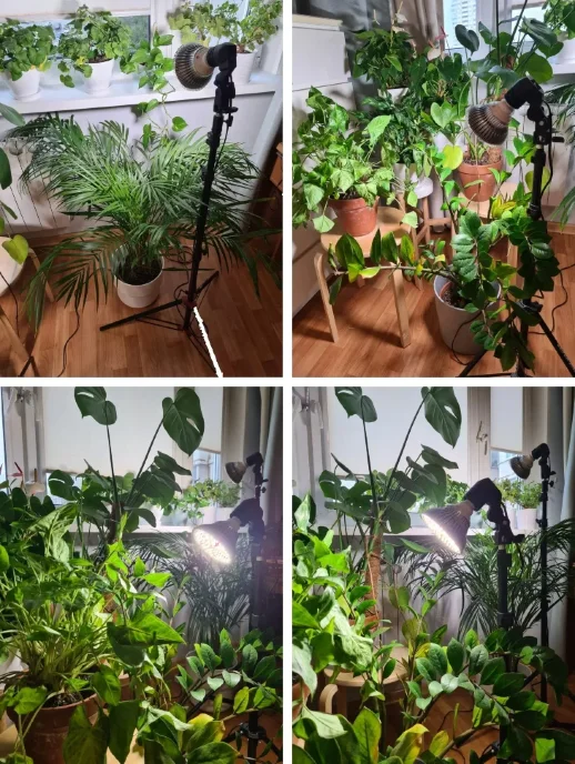 Комплект "Досветка отдельно стоящего растения"