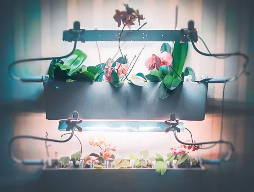 Модуль 2.9.i 4000K+660+730nm Универсальное решение. Белый свет