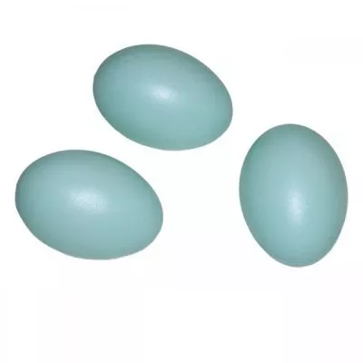 Пластиковое яйцо утиное