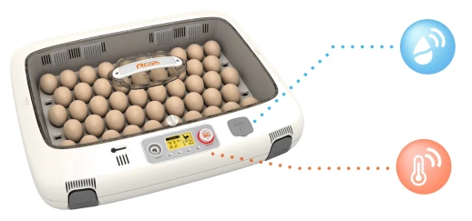 Инкубатор Rcom 50 PRO DO с овоскопом