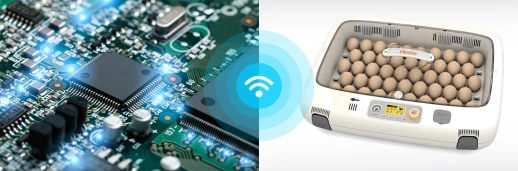 Инкубатор Rcom 50 PRO DO с овоскопом