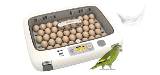 Инкубатор Rcom 50 PRO DO с овоскопом