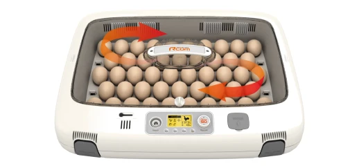 Инкубатор Rcom 50 PRO DO с овоскопом