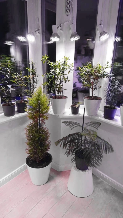 Комплект "Досветка домашних растений 75 Вт (3х25)"